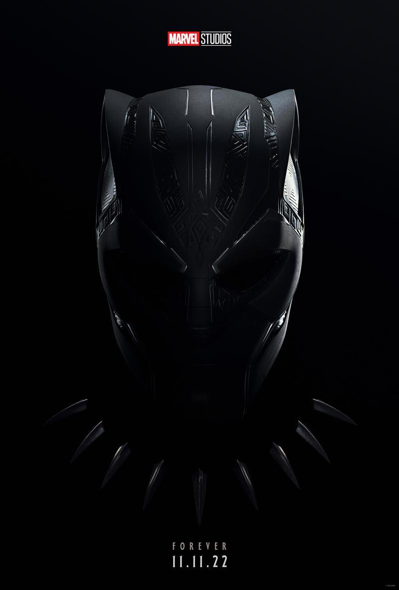 Black Panther Wakanda Forever Poster