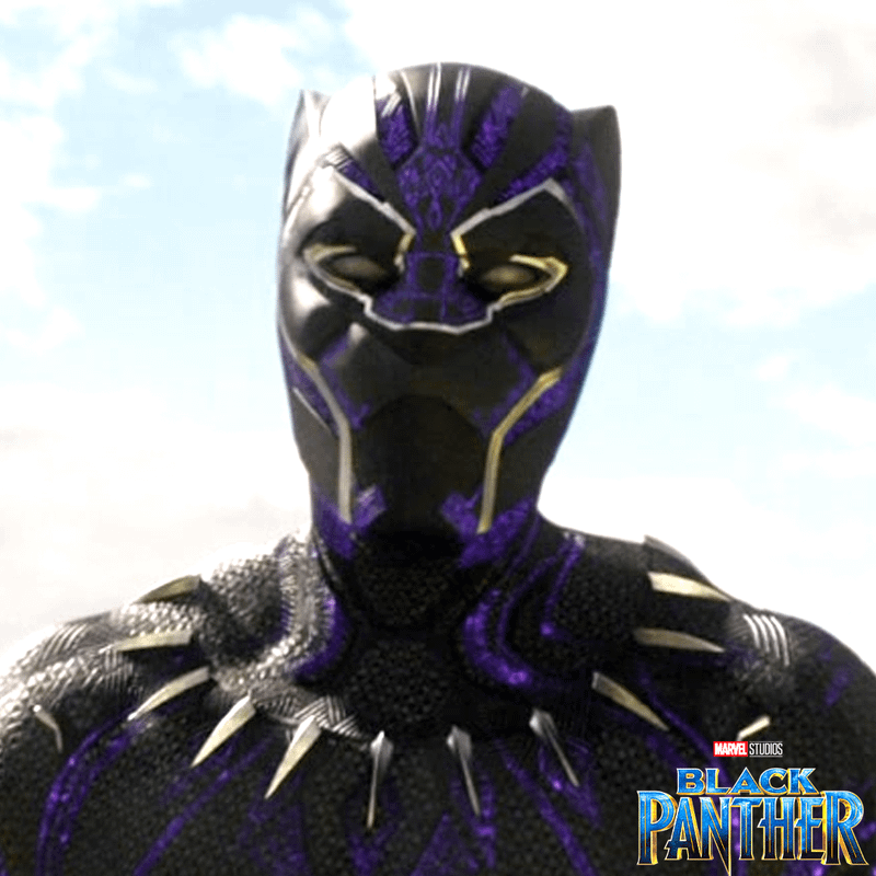 T'Challa's mask from Black Panther.