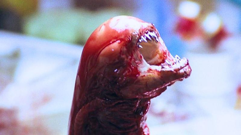 Alien Chestburster