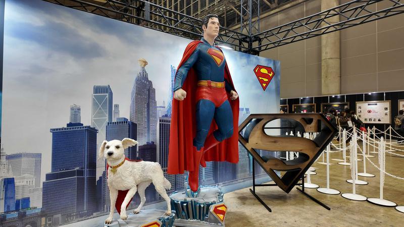 Superman & Krypto display