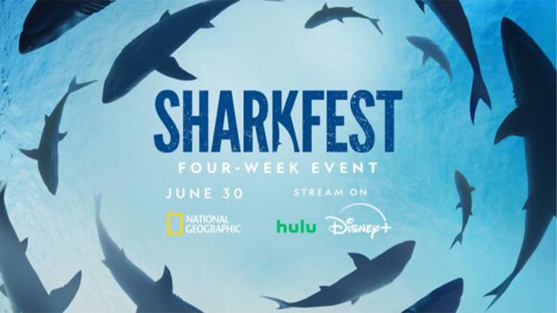 SharkFest stream on Disney+.