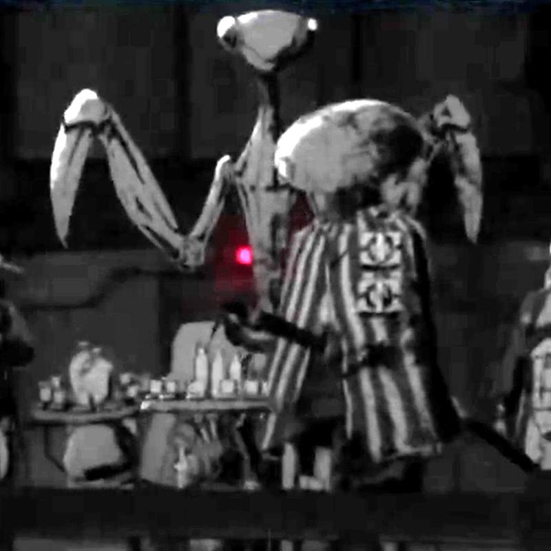 The Huck creature from Star Wars Visions.