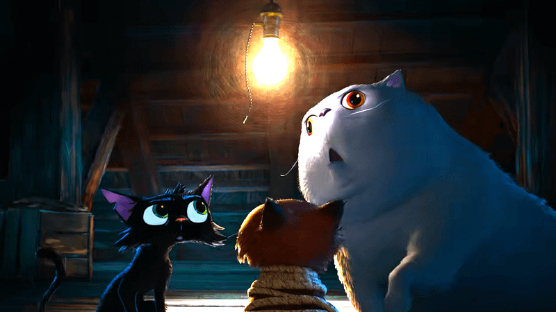 Rocco and Nero in Gatto trailer.