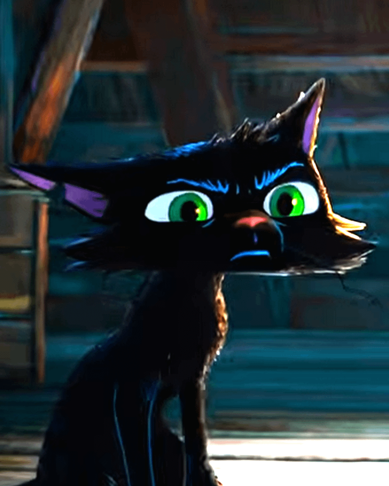 Nero in Gatto.
