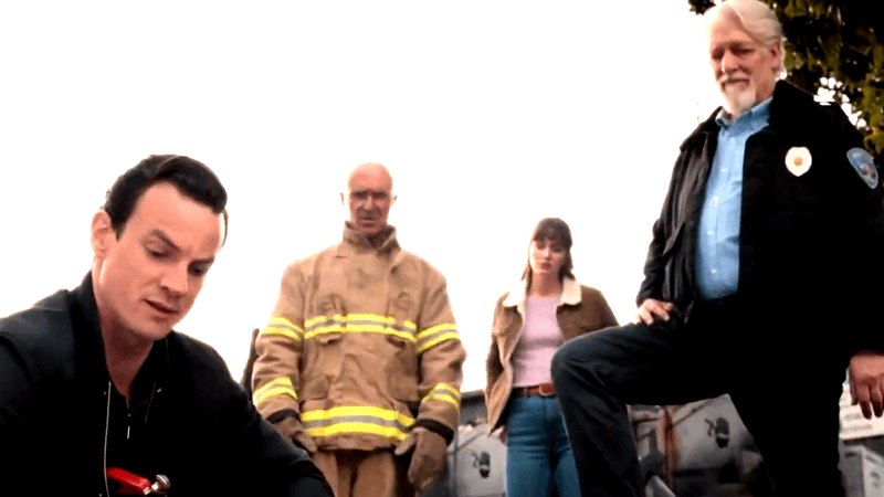 Good Cop/Bad Cop cast