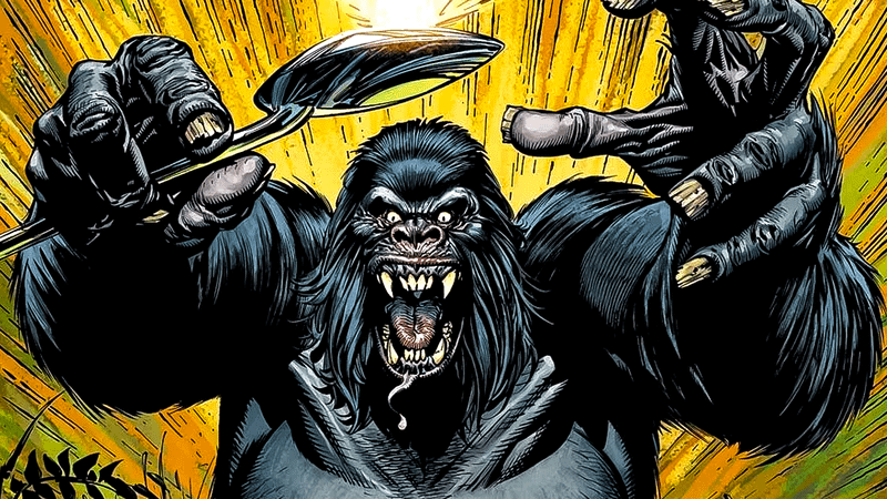 Gorilla Grodd in DC Comics.