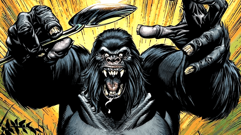 DC's Gorilla Grodd