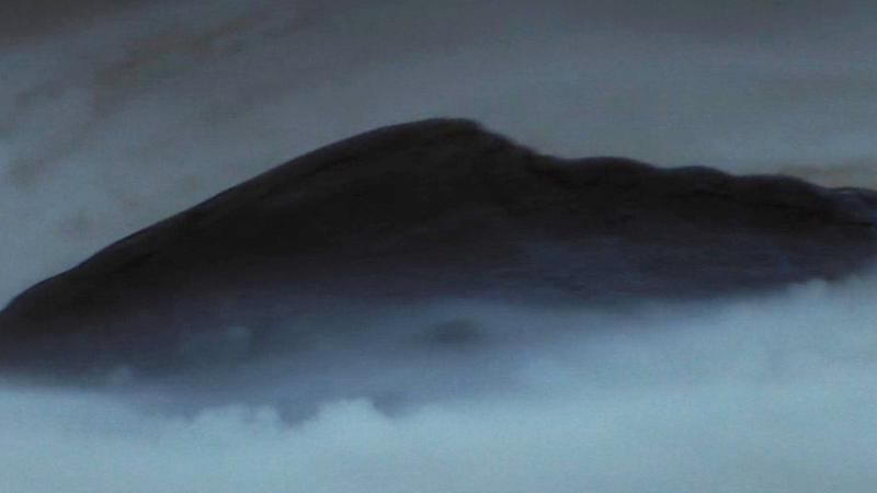 The back of a dragonsnake on Dagobah in The Empire Strikes Back.