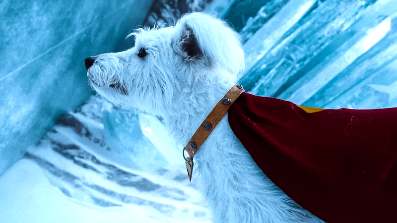 Krypto in Superman (2025)