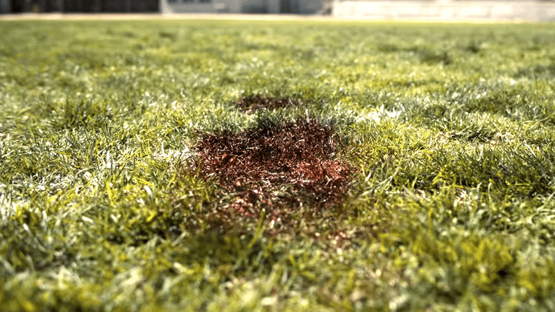 bloody spot on a football field in 'Lanterns' trailer.