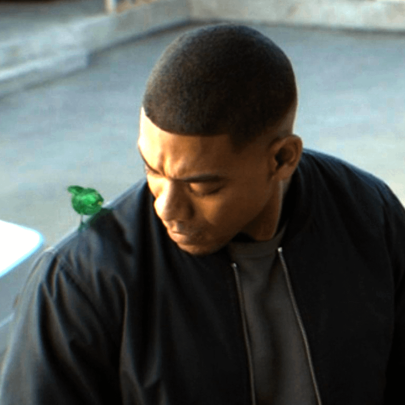 The green bird of John's shoulder.