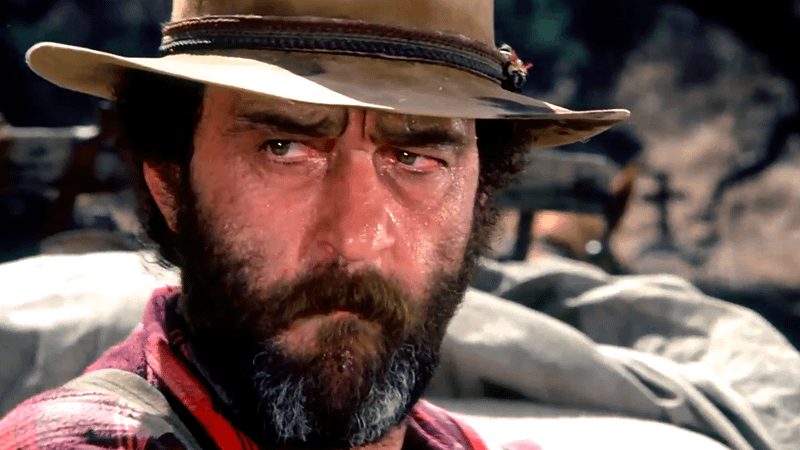 Mr. Edwards in Little House on the Prairie.