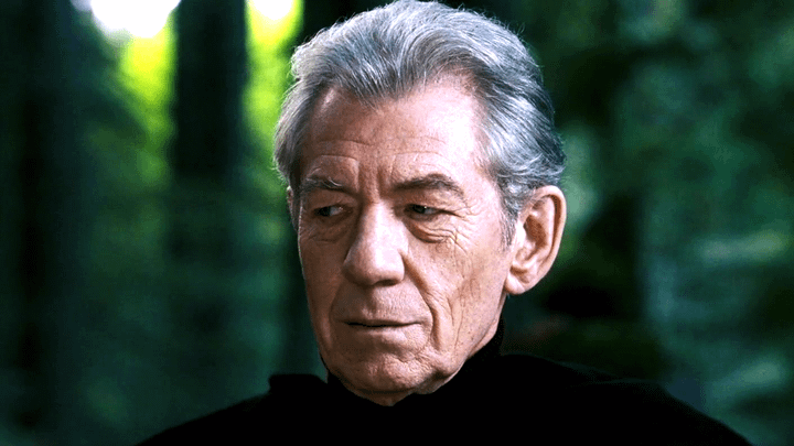 Ian McKellen as Magneto