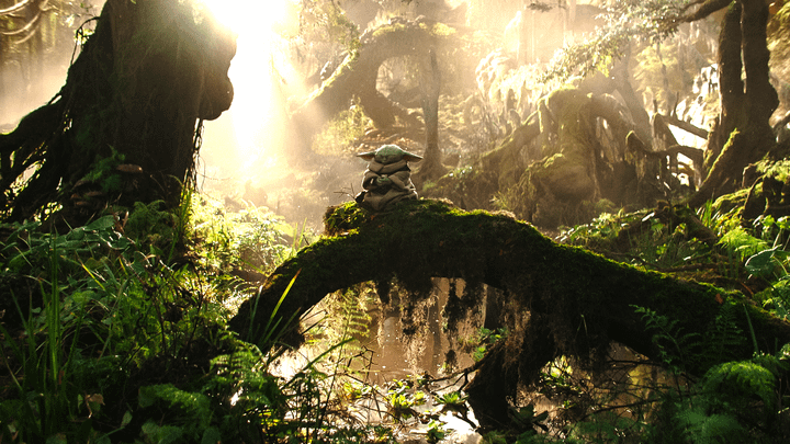 Grogu sitting on a tree in the middle of a forest.