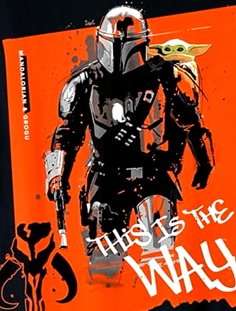 Mando & Grogu together in a new promotional art.