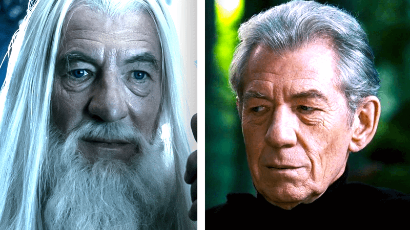 Ian McKellen as Gandalf and as Magneto