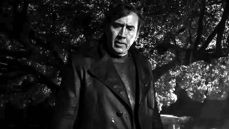 Nicholas Cage in Spider-Noir.