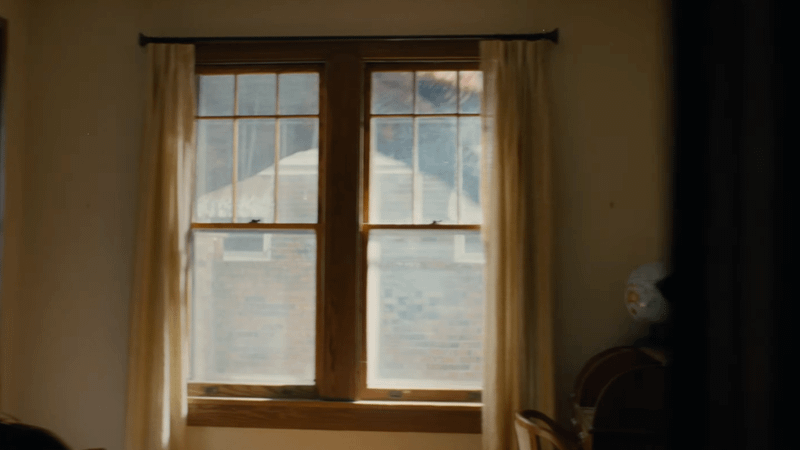 Dinosaur creature in The End of Oak Street.