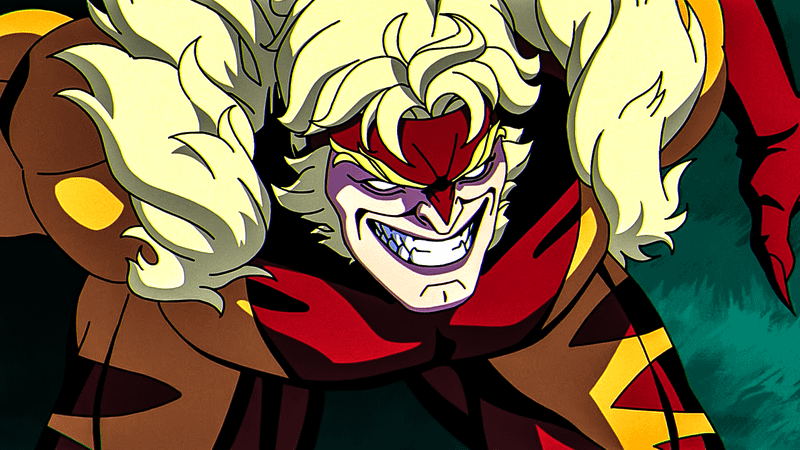 Sabretooth from X-Men: The Animated Series.