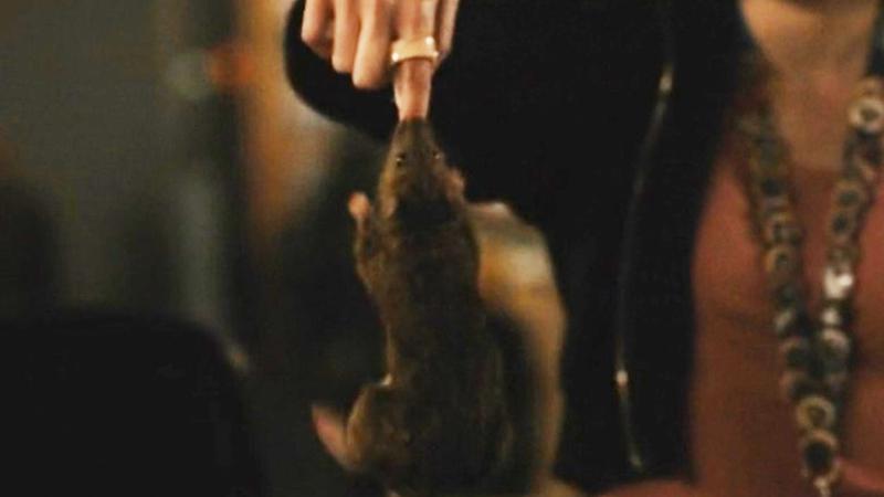 Harry Potter HBO Finding Harry documentary, Scabbers animatronic finger bitten.