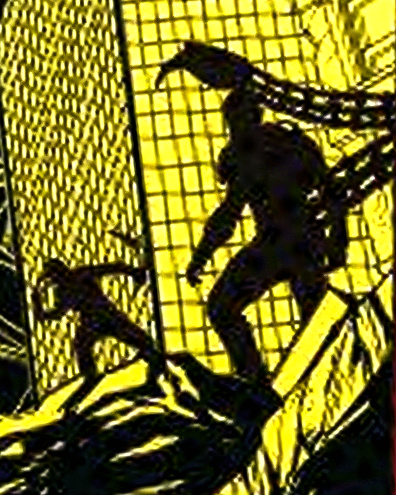 A dark look at Scorpion in Spider-Man: Brand New Day promotional art.