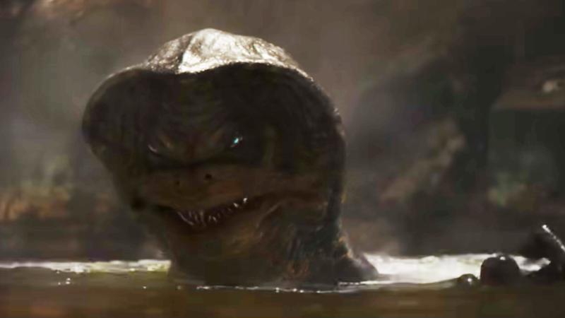 An Amani sticking its head out of the water and grimacing.