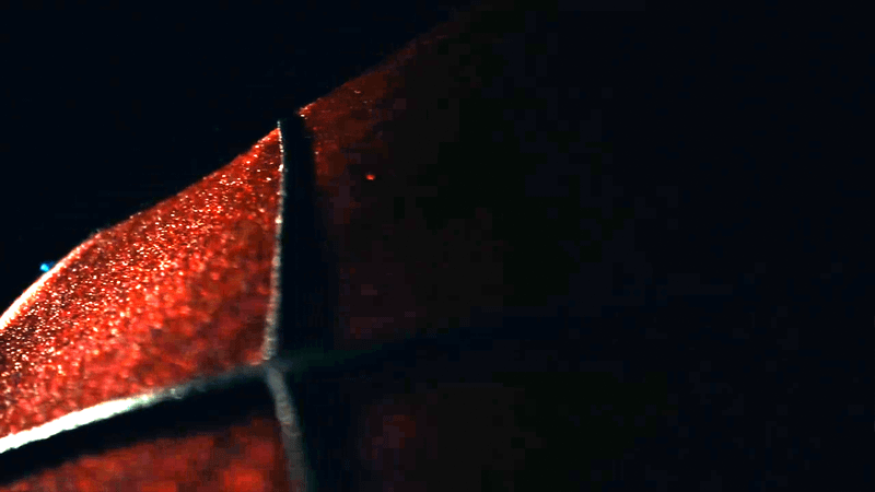 close-up image of Spider-Man's new suit in Spider-Man: Brand New Day