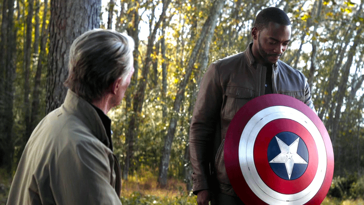 Steve Rogers and Sam Wilson