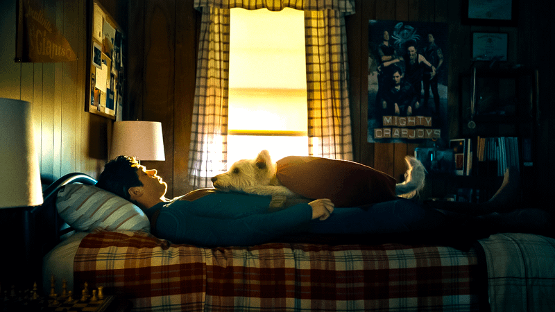 Superman and Krypto lying in bed.