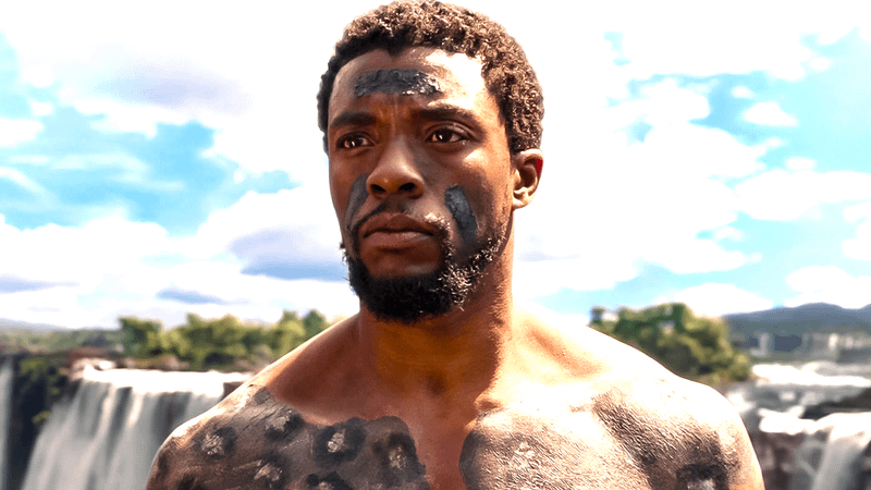 Chadwick Boseman as T'Challa in Black Panther.