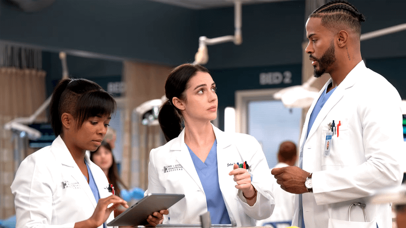 Grey's Anatomy interns. 