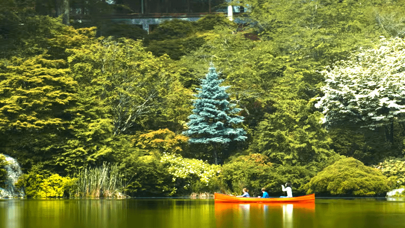 Crawford cabin in Verity.