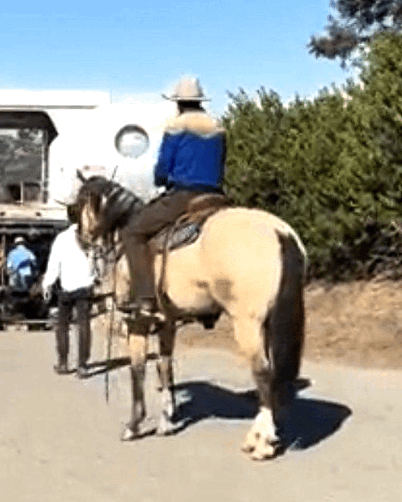 Cooper Howard actor on horse on Fallout Season 3 set.
