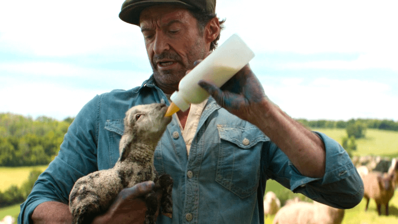 Hugh Jackman as George in Sheep Detectives.