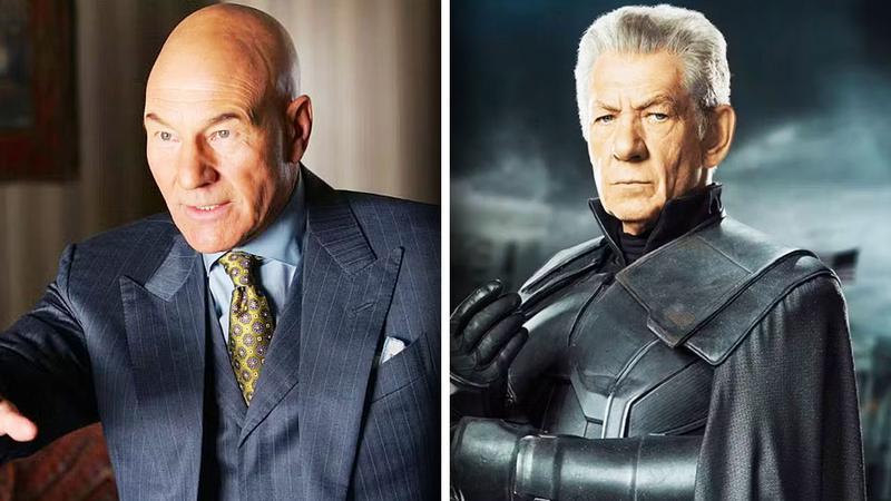 Professor x and Magneto