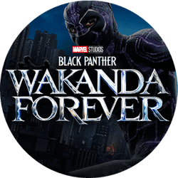 Black Panther: Wakanda Forever Picture
