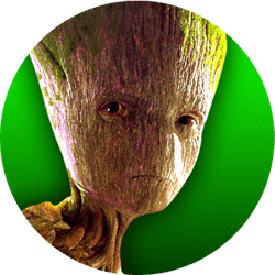 Groot Picture