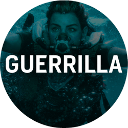 Guerrilla Games Picture
