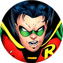 Robin Picture